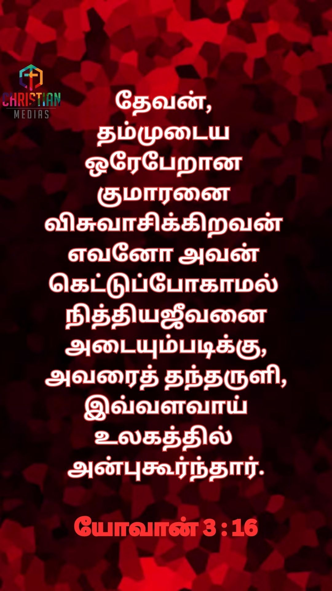 363892700 1026003428782634 940579454397912574 n