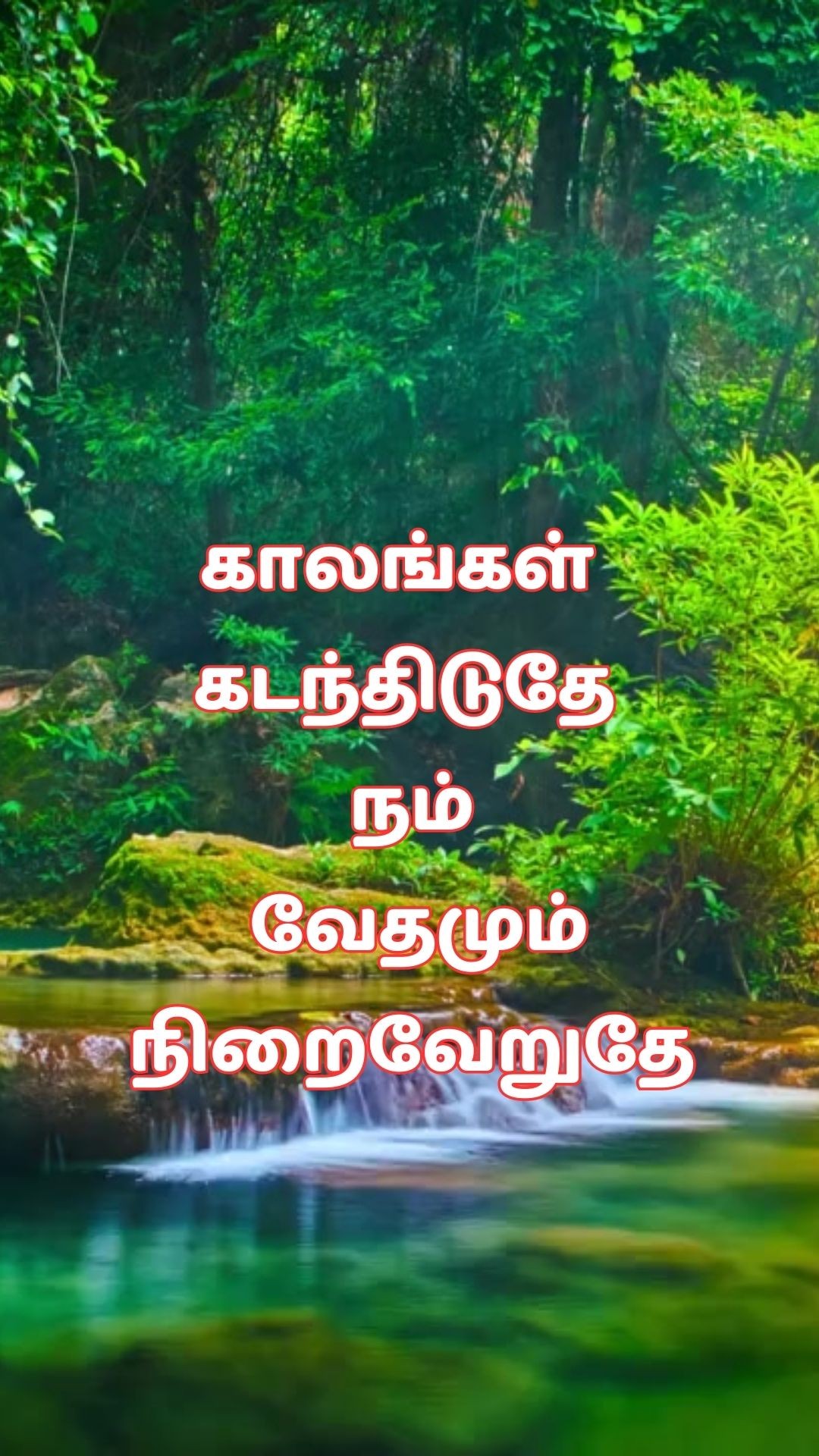 366555533 280840121247649 7528860116901767081 n