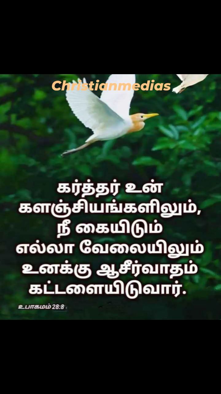 366582740 835982891479684 2977278864581547497 n