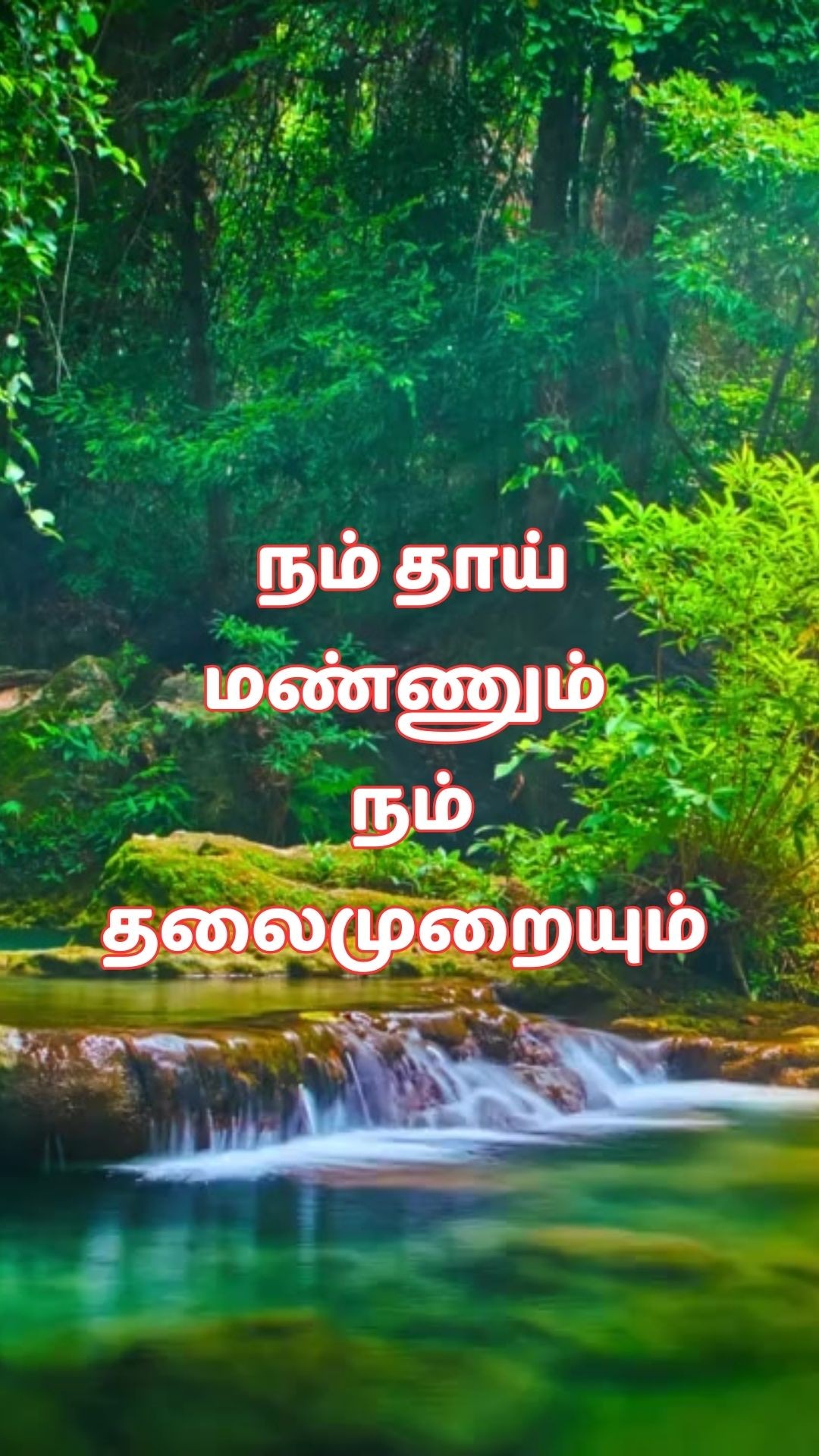 366589650 6479289622157303 2968650861217270999 n