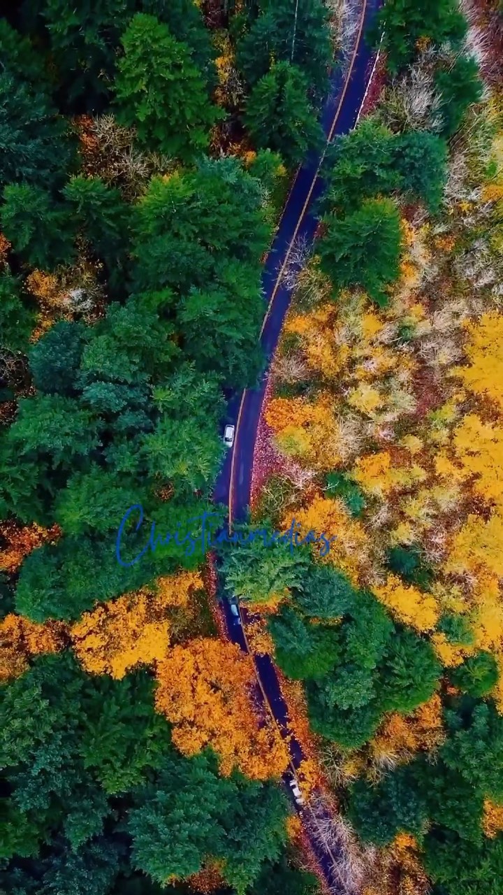 367362904 825865512372028 7299445348786260731 n