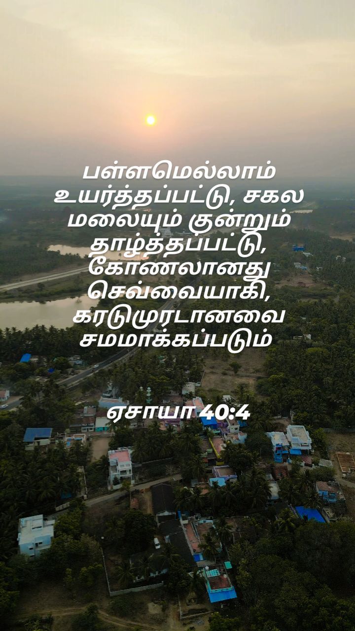 367380915 622420073333517 3518694961137088496 n