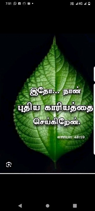 367515854 668354794892459 4802334444366278871 n