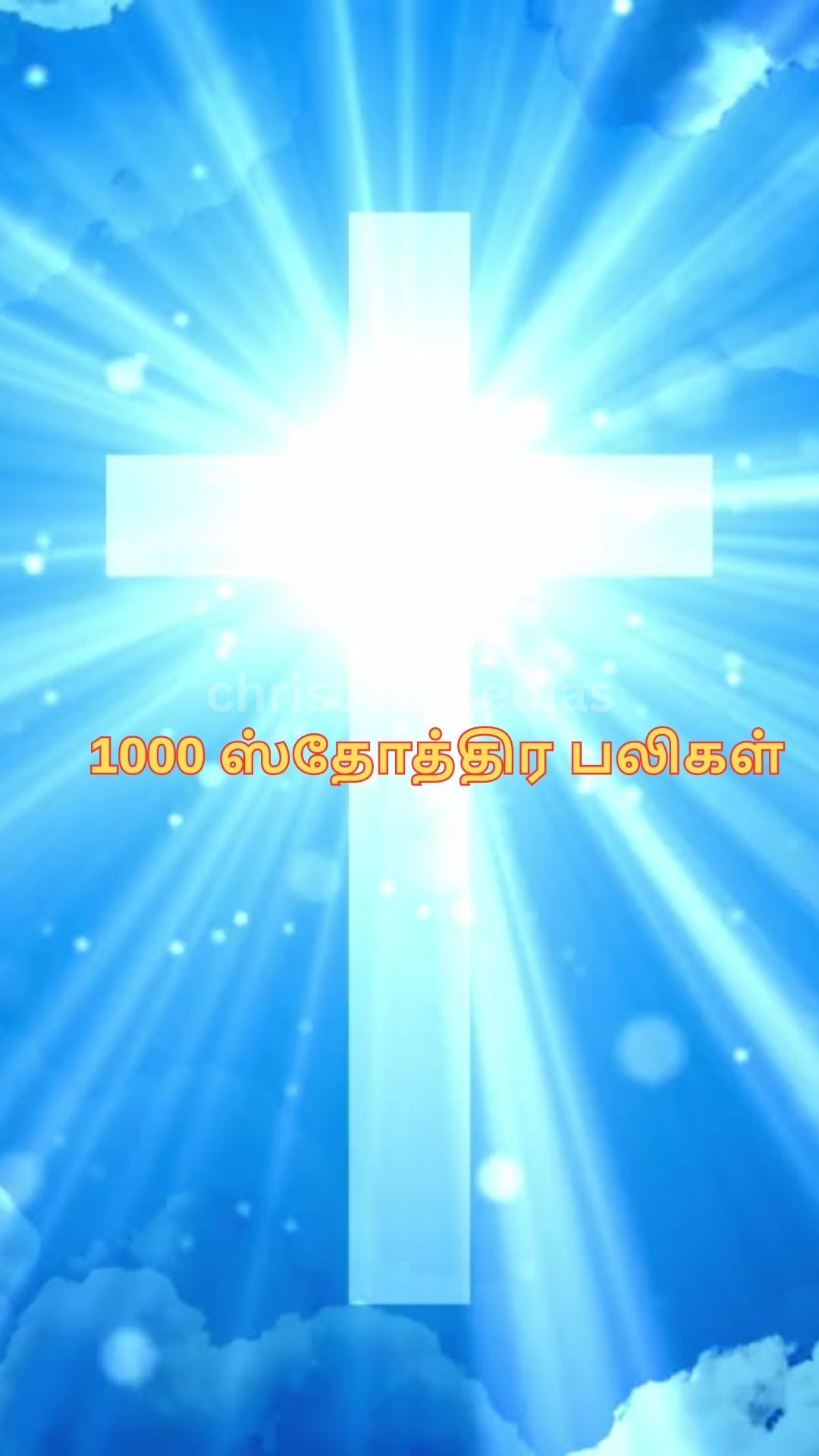 367522527 965092608086418 4828828303682866253 n