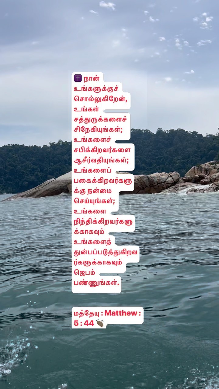 367655679 1437621527035662 5042309156667513688 n