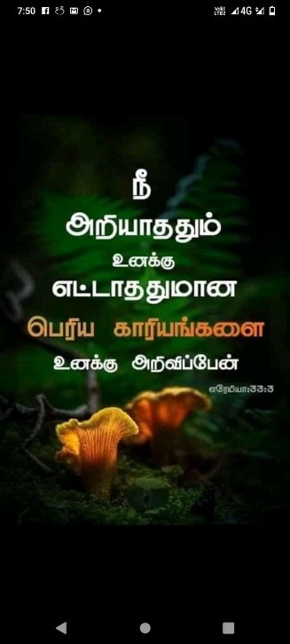 367935924 1499168694186602 410200182409408334 n