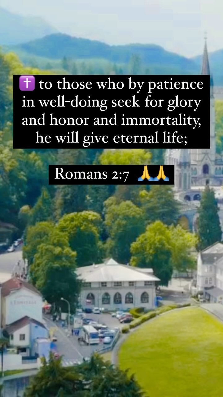 368135300 1443536406467515 4092697786368983534 n