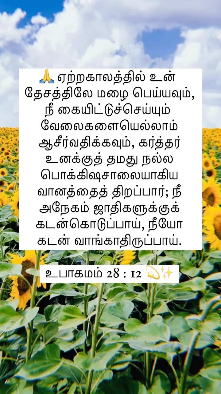 368522052 250264234587238 327551147543572870 n