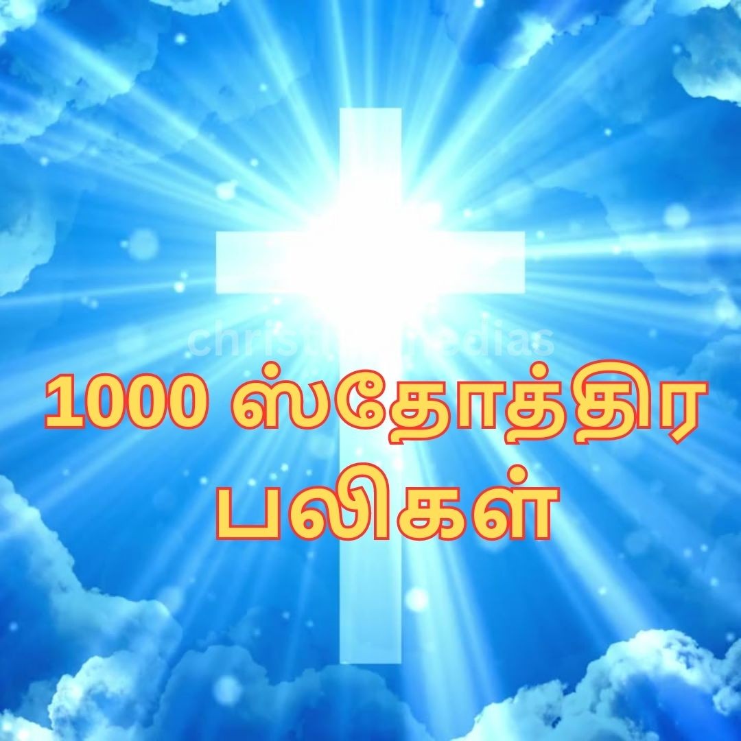 368674838 808884904067032 415756121877628567 n