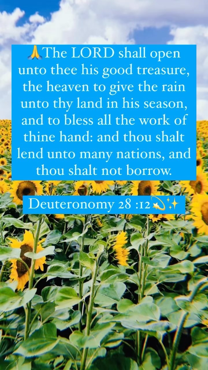 368701355 812372707010046 3121421199792599111 n