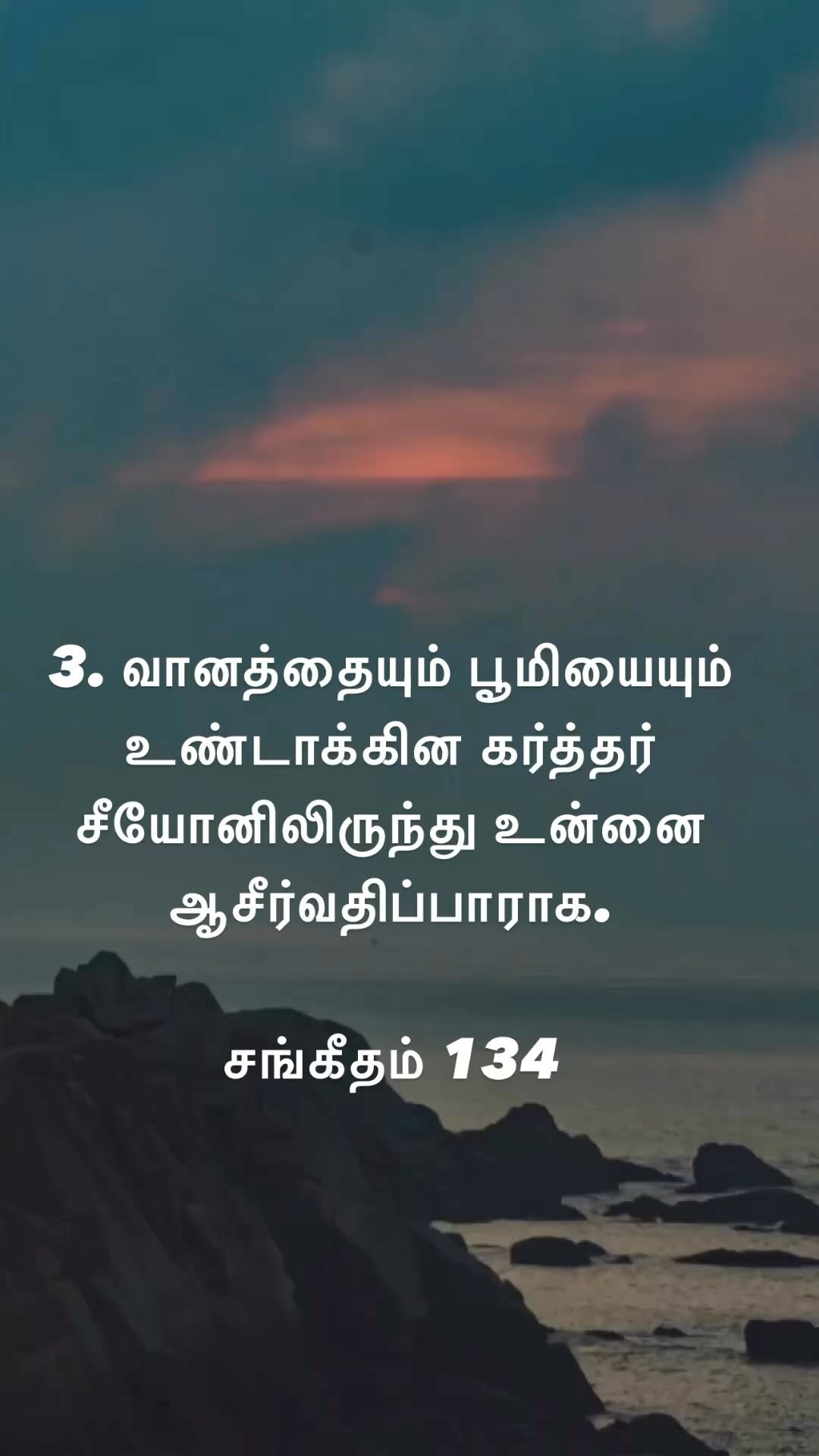 369153217 311962121248133 8473387199698647312 n