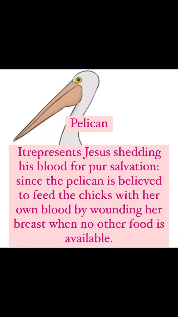 370026486 1322365955341542 8070617195722336324 n