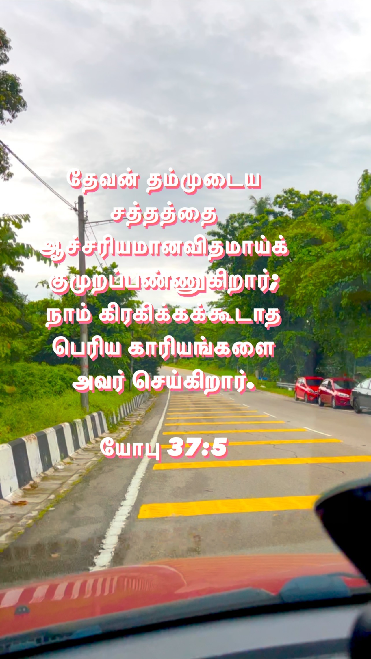 370753865 313156914529103 3291799547770352516 n