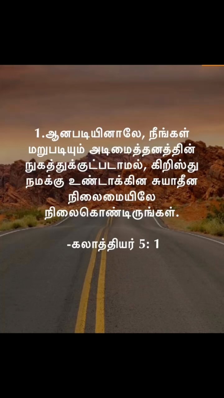 370851606 1058385018657999 6911990108673903107 n