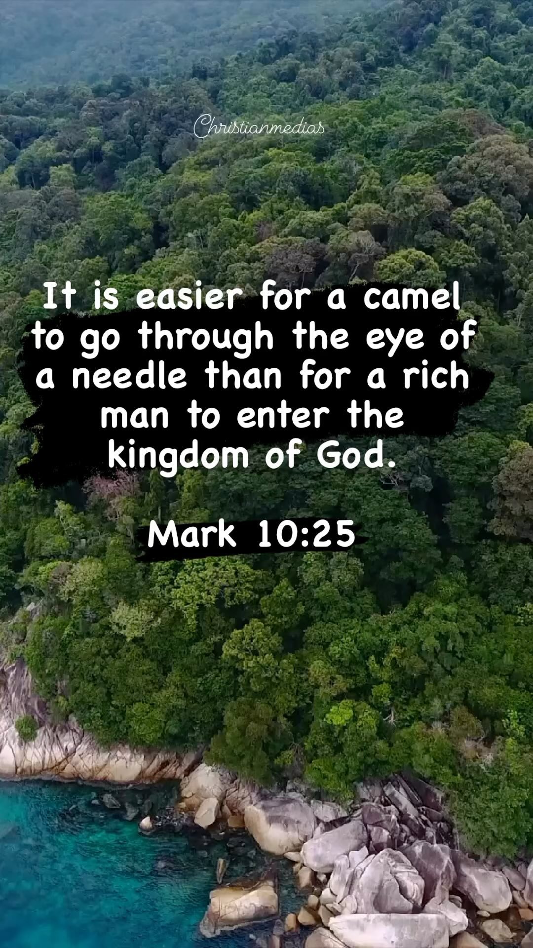 371017927 317380427423901 8659377520985615187 n