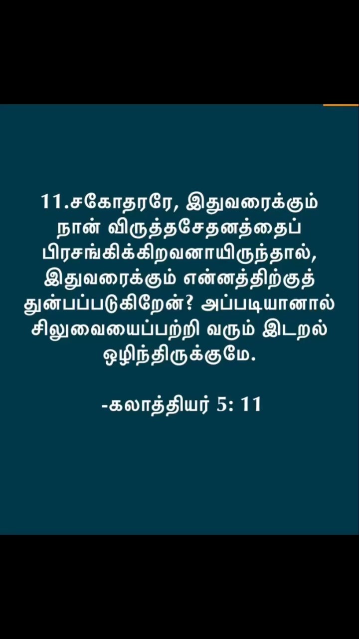 371165012 1351871719015034 6547806513478831434 n