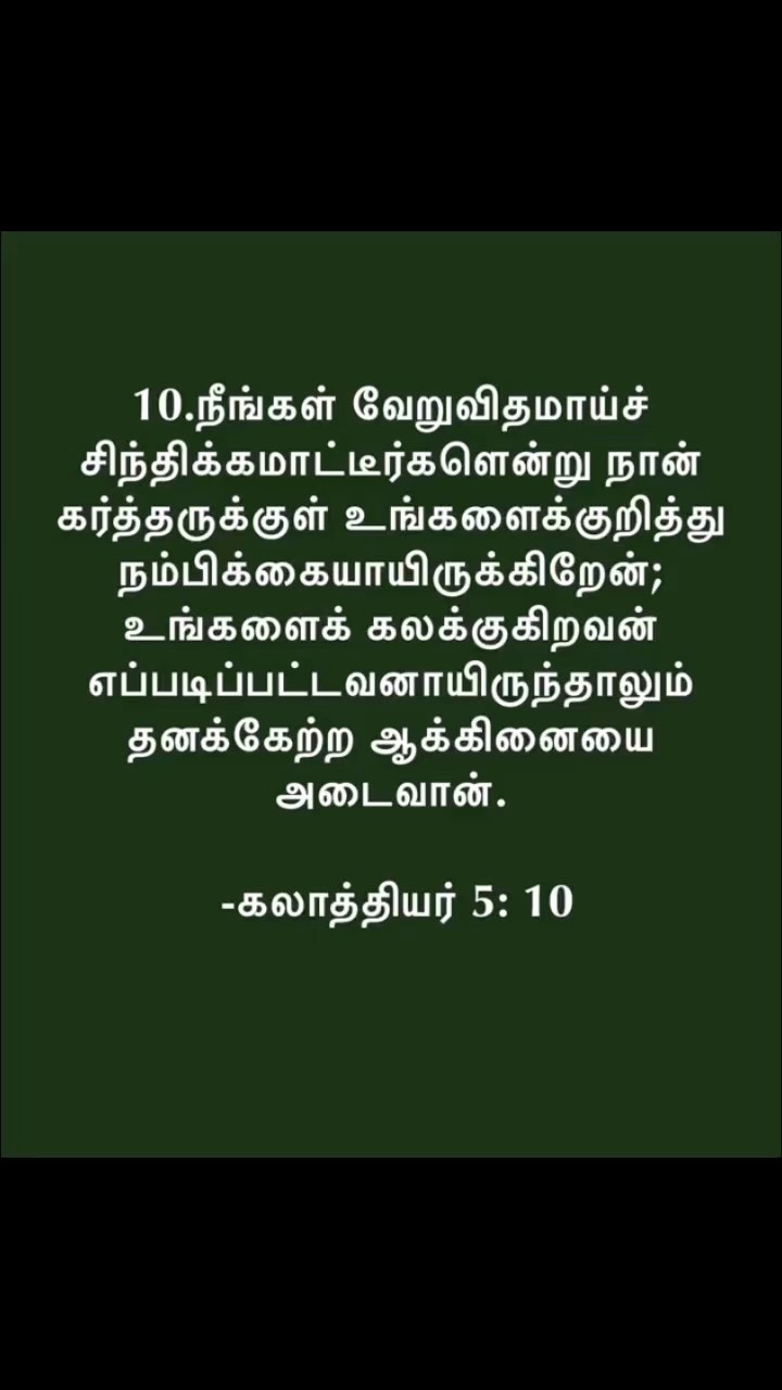 371209122 1237134903636473 1265569846055387325 n