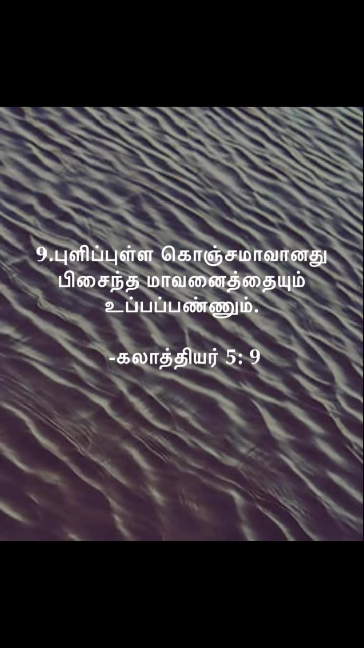 371310628 601511255514078 4571807594228000490 n