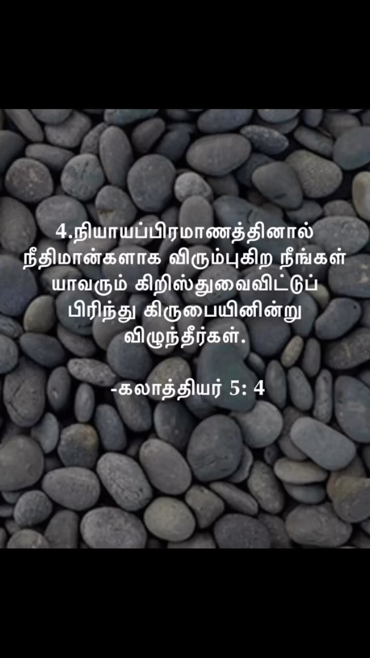 371311146 1340434776868697 2907417293479915436 n