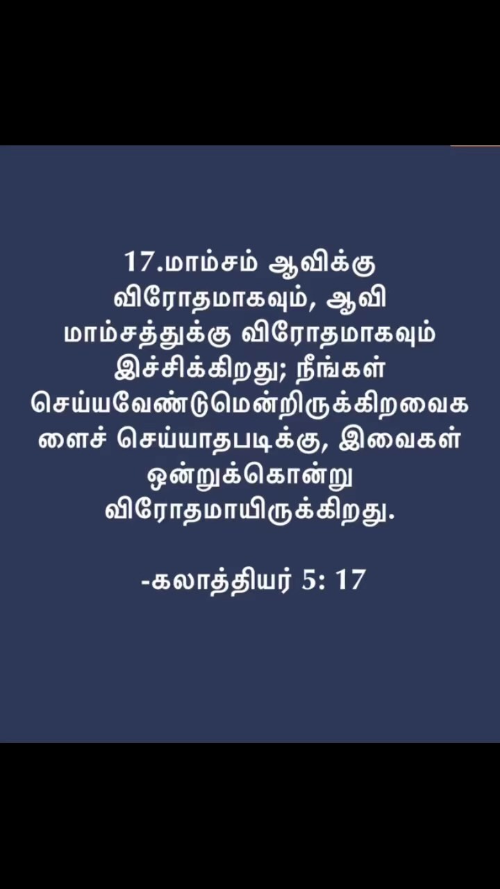 371419497 1047080756293016 8190748293927930376 n