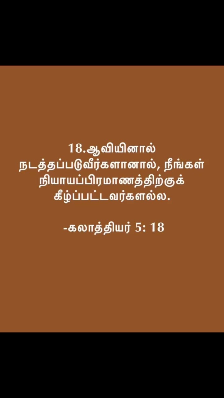 371739617 526489202970378 5492636466027040511 n