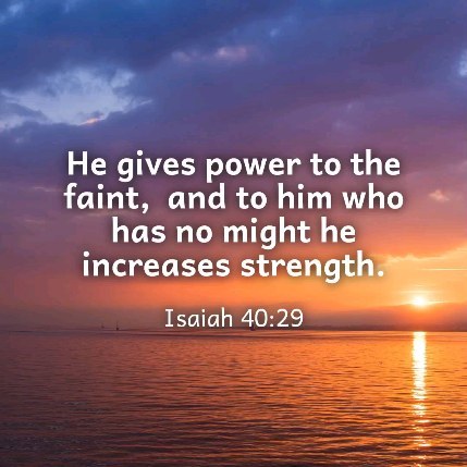 372024908 1347294962849138 885280857925691554 n