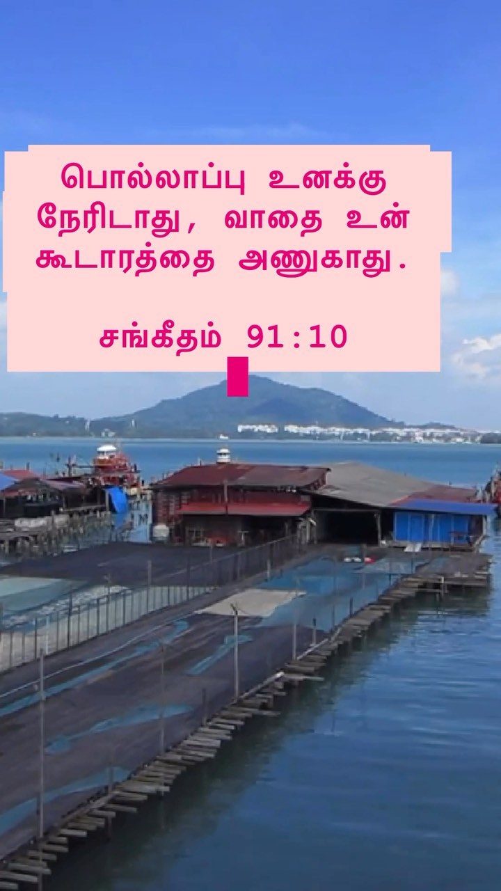 372058667 264740286497684 5017439455006085776 n