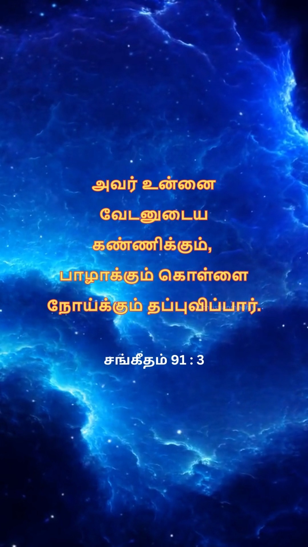 372069597 315403537677344 8114270025114057845 n