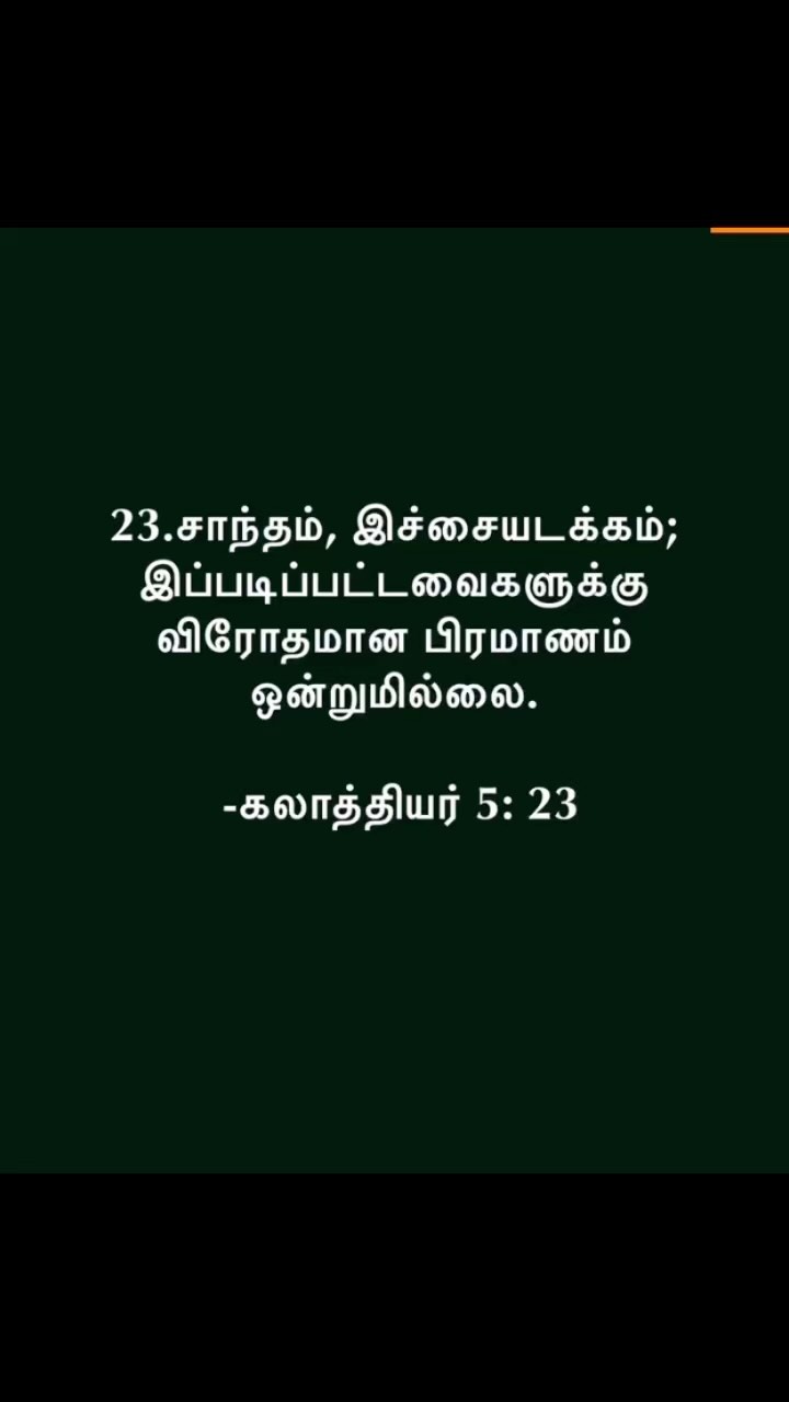 372367118 332712192540058 4075597318791785246 n