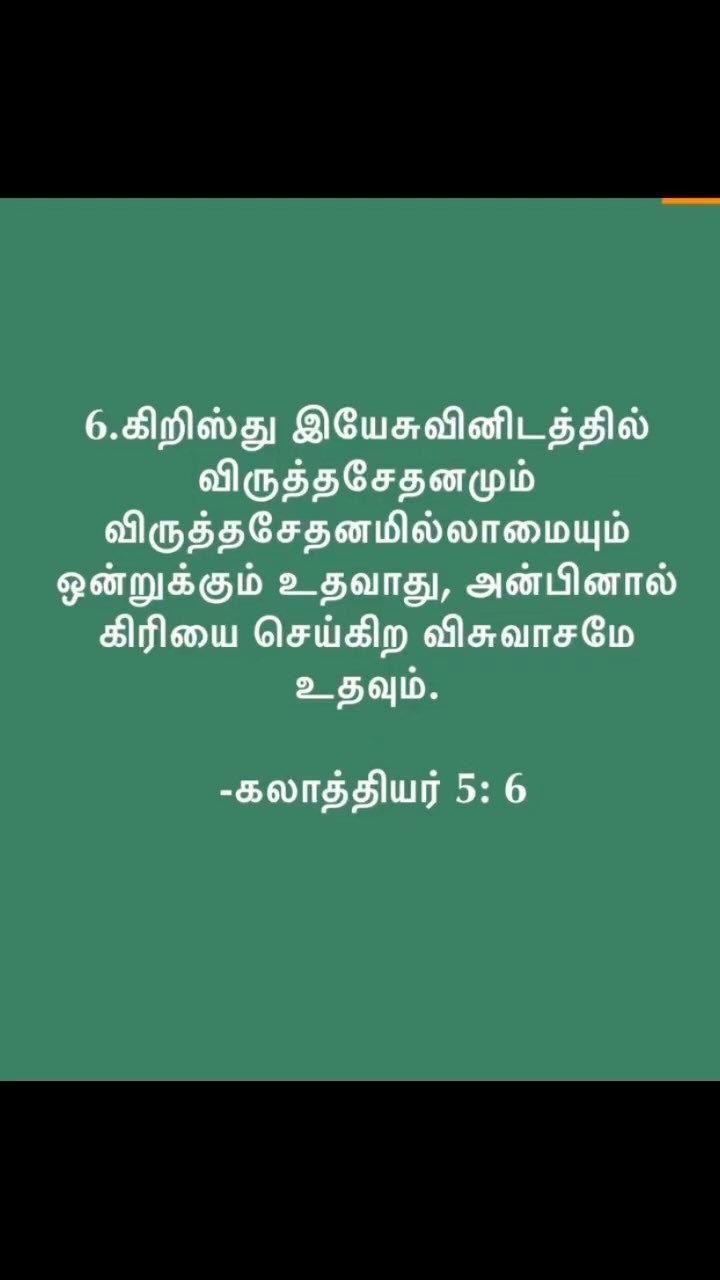 372711281 808130064128969 3241066682782455929 n