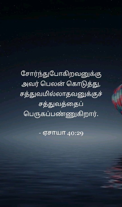 372891302 682307960449728 5709897898802072464 n