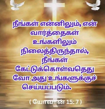 361113885 3520474861524689 3403155680212758281 n