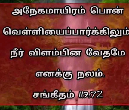 361128056 743444157539706 186117516426028128 n