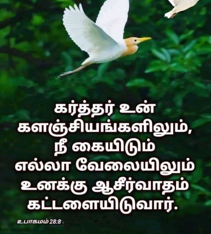 361540606 660940145909052 7340145839400881010 n