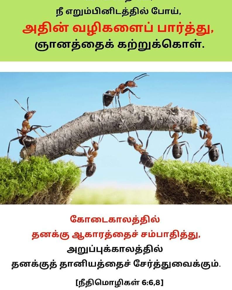 191105473 1040515019688268 449406635345094956 n